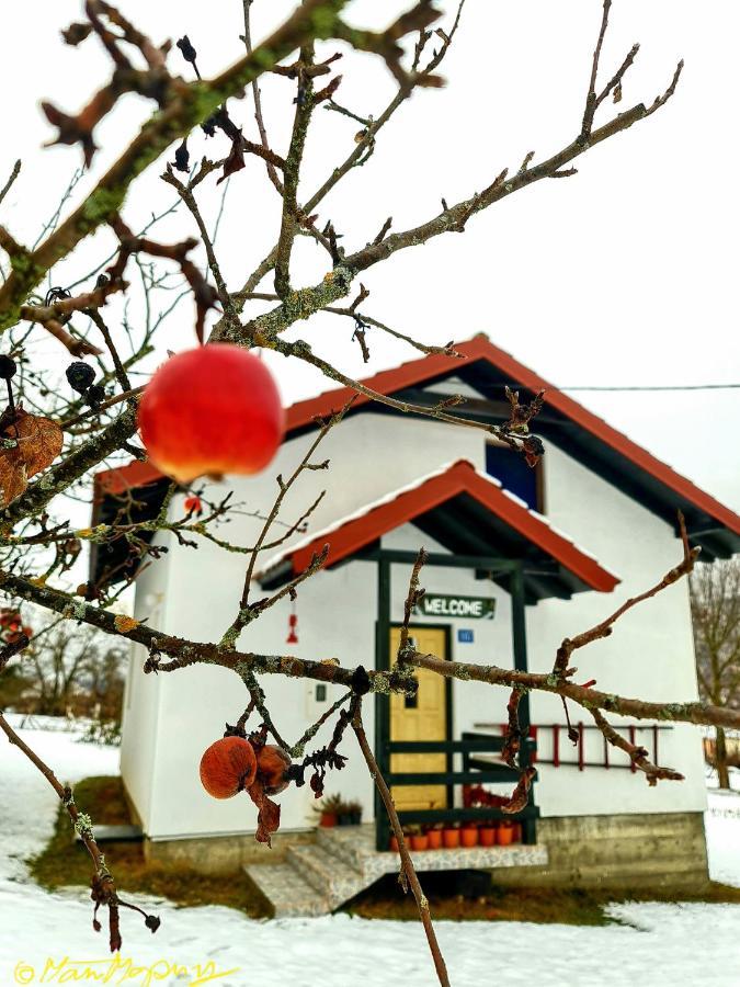Kosta'S Romantic House Plav Exterior foto