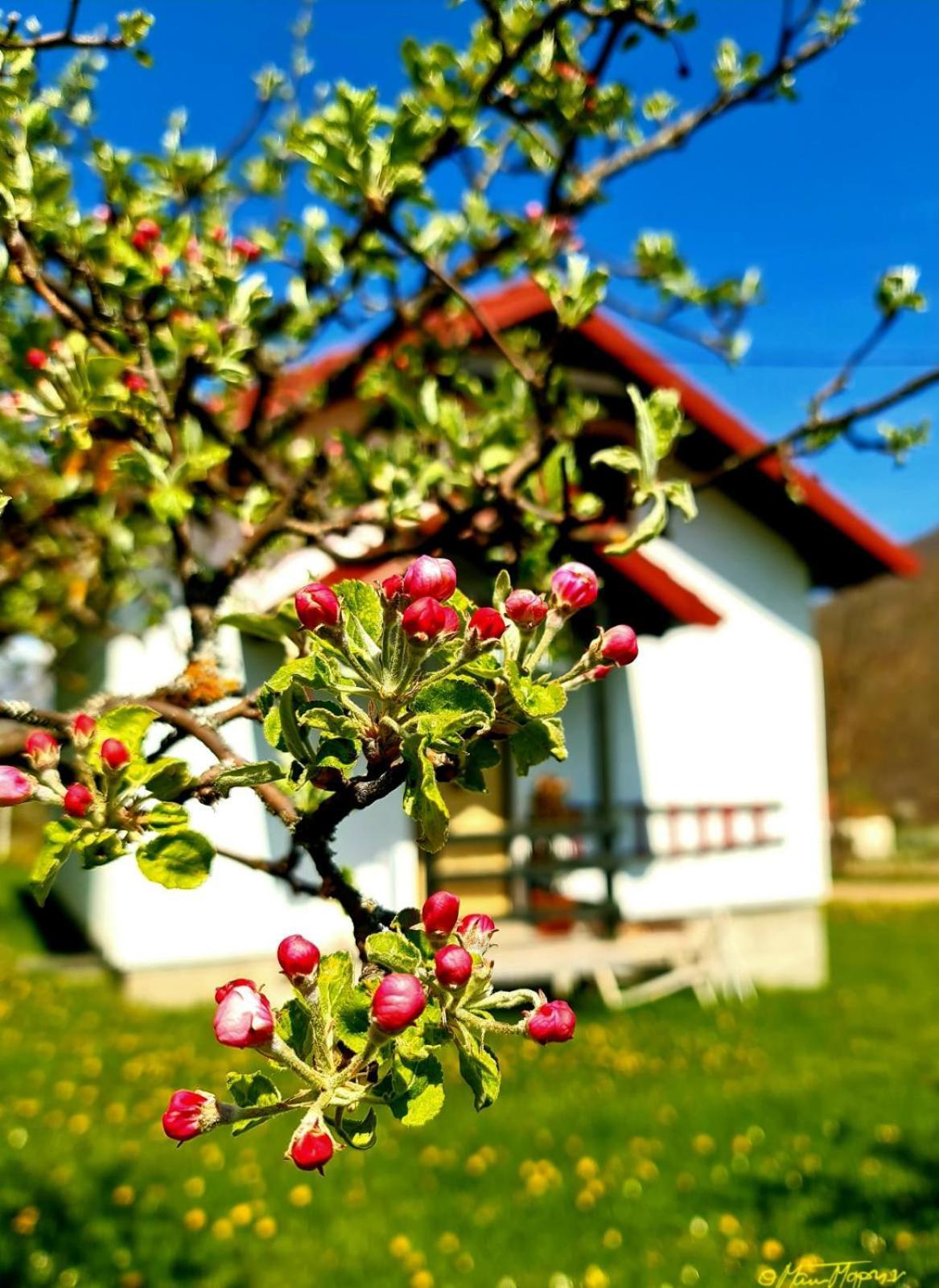 Kosta'S Romantic House Plav Quarto foto